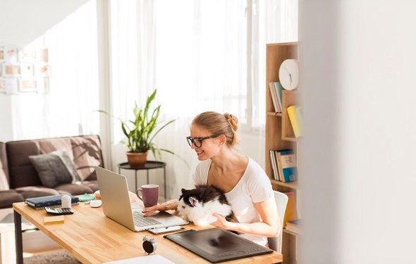 4 giai đoạn học tập trên hành trình làm cha mẹ