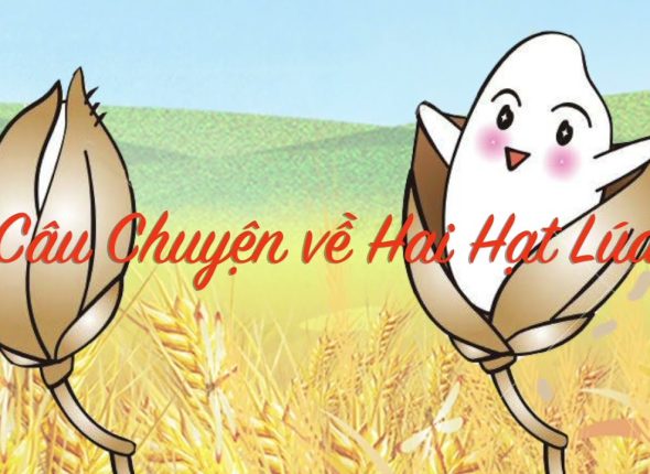 nghi-luan-ve-cau-chuyen-hai-hat-lua_2