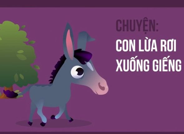 lừa 1